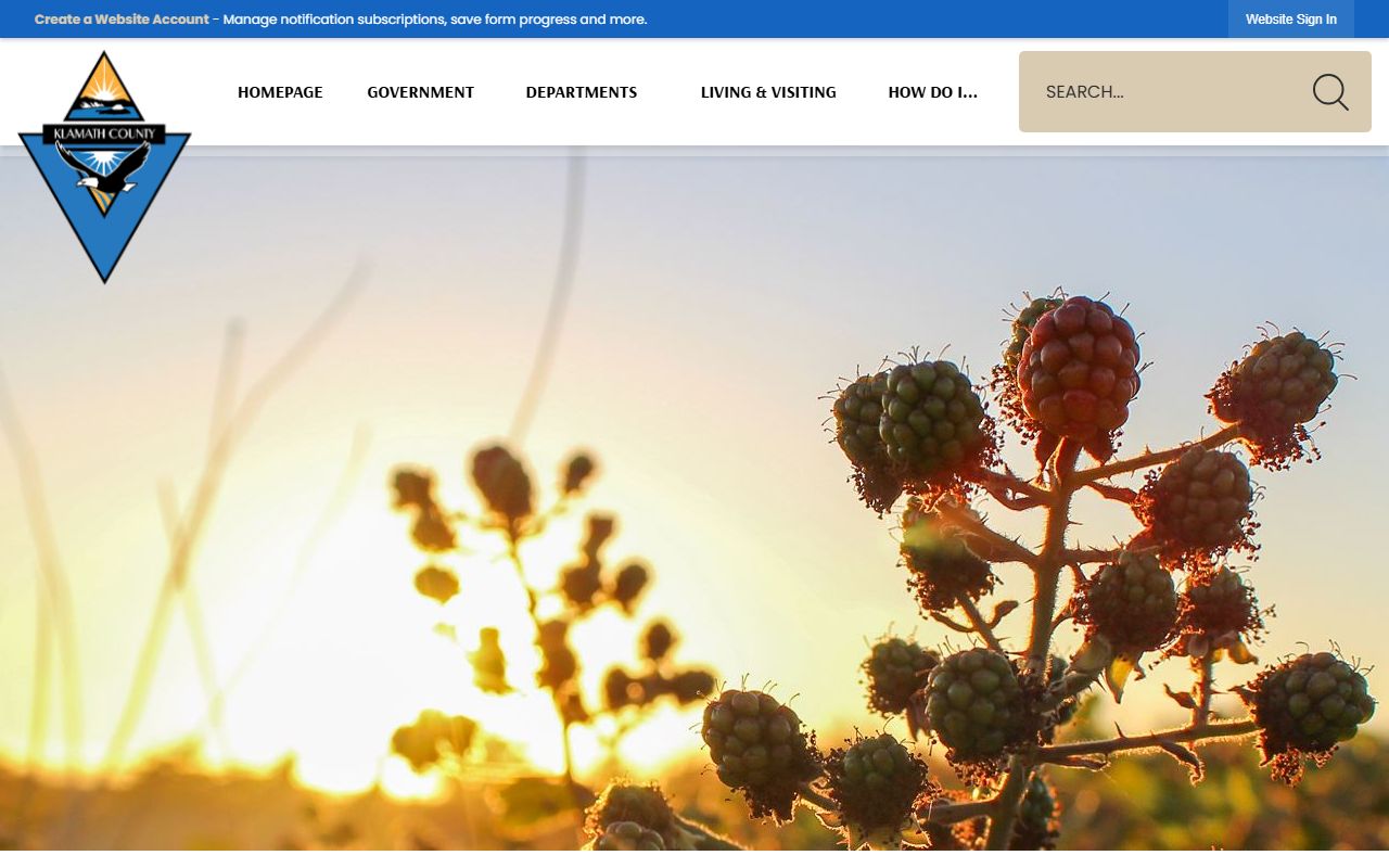 Klamath County official website for death index record requests